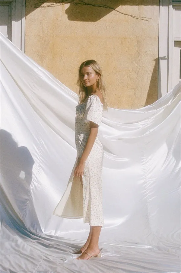 Silky Zamia Dress