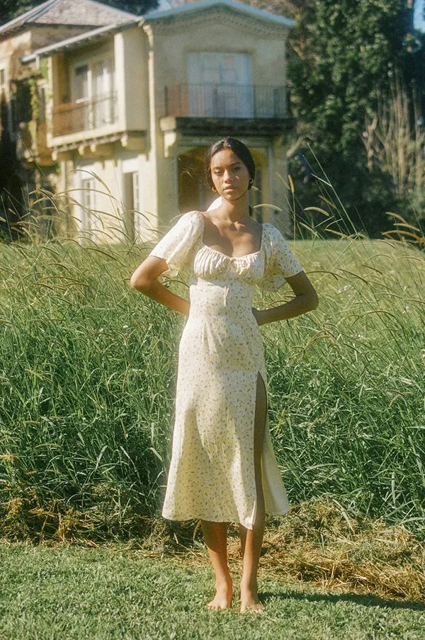 Silky Zamia Dress